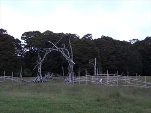 Canaan Downs & Lord of the rings set