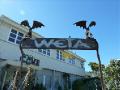 Weta cave of filmproducers/ Weta grot van filmproducers