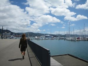 Wellington city/stad
