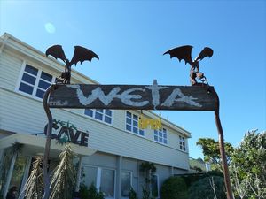 Weta cave of filmproducers/ Weta grot van filmproducers