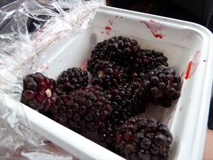 mmm berries/mmm besjes