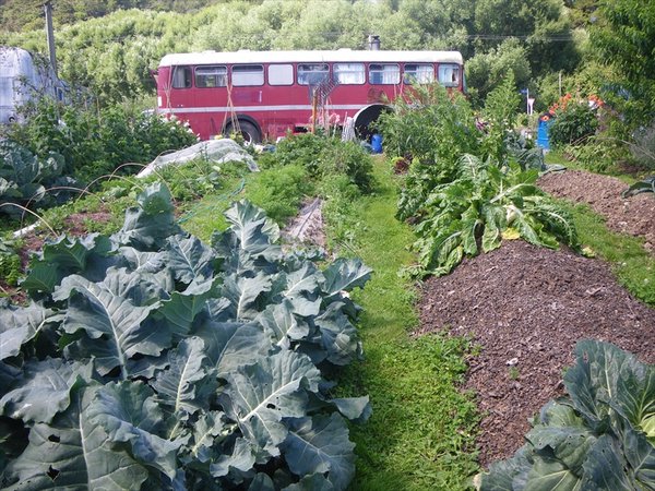 the garden of that neighbour and his house (bus) / de buur zijn tuin en zijn huis (bus)
