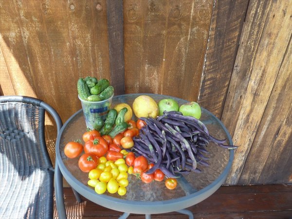 vege's of the day/groenten van de dag uit tuin