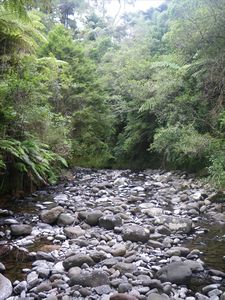 1 of the 2 streams on their property/1 van de 2 rivieren op hun landgoed