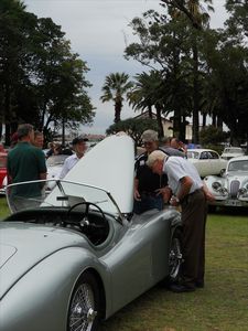Car - Jaguar- thing in Perth