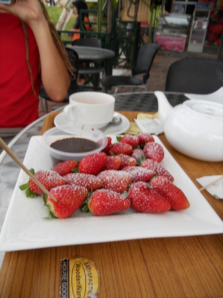 strawberries & chocolatesauce/aardbeien en chocoladesaus