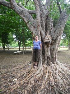 Karla and her magic tree/Karla en haar magische boom