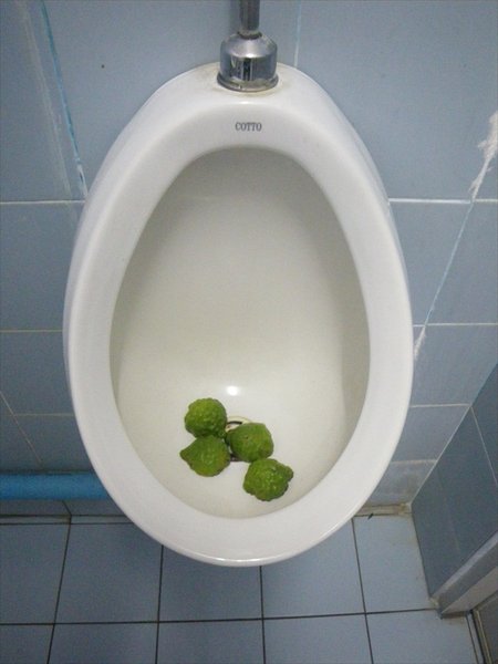 Toilet in trainstation...yes this is some cutted limes