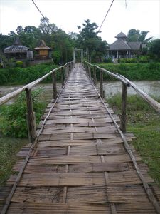 Walk over the bamboobridge/wandeling over het bamboebrugje