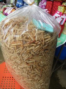 roasted worms/geroosterde wormen