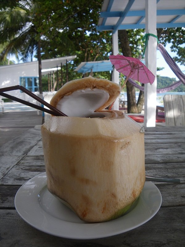 Fresh young coconut/Verse jonge kokosnoot