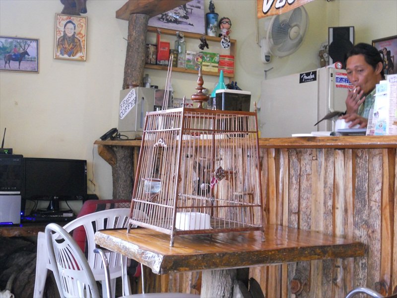 Wooden birdcage/houten vogelkooi