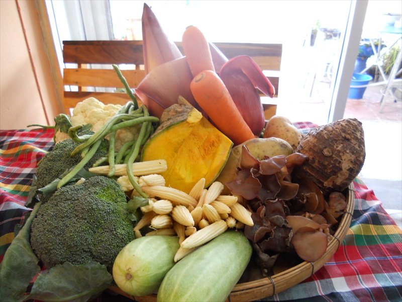 The vegetable basket/De groentenmand