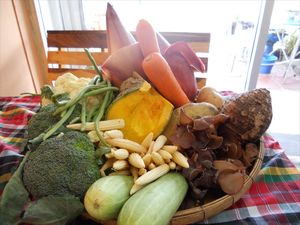 The vegetable basket/De groentenmand