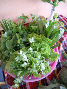 The Thai herb basket/De Thaise kruidenmand