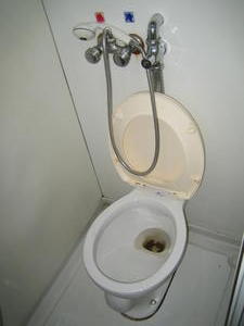 The Toilet/Shower