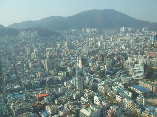 View From Busan Tower 2