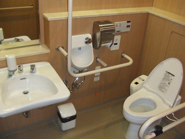 Toilets In Japan