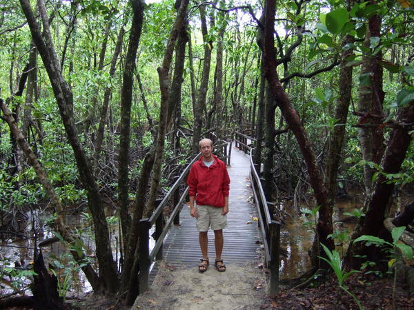 Ronan In The Rain Forest