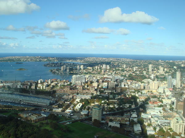 View From Sydney Tower 1