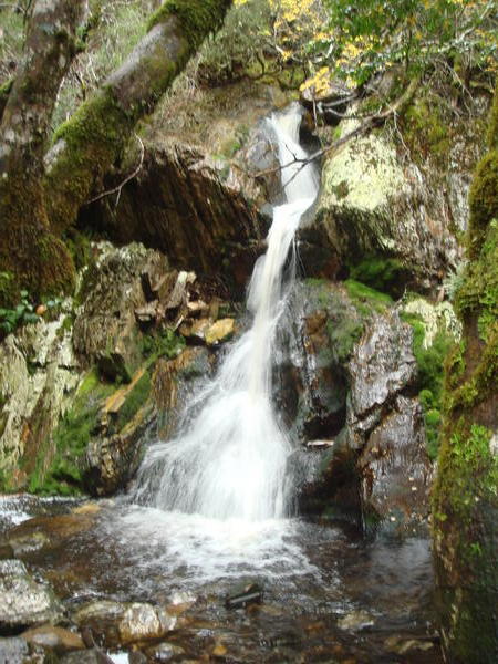 A Waterfall