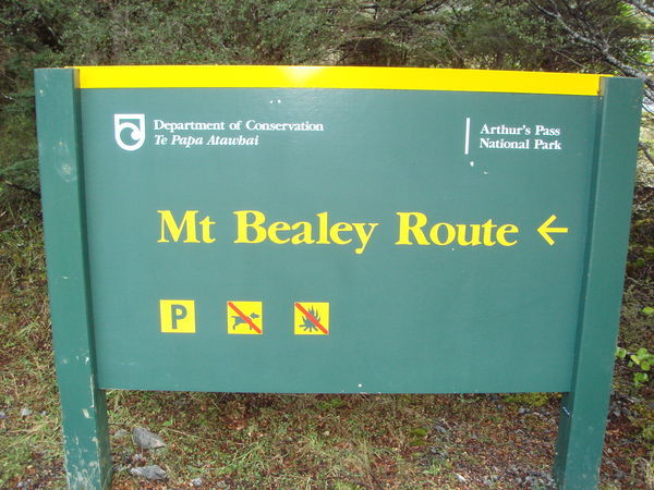 Mt Beatley Route
