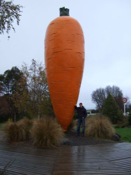 Ronan And A Rather Large Carrott