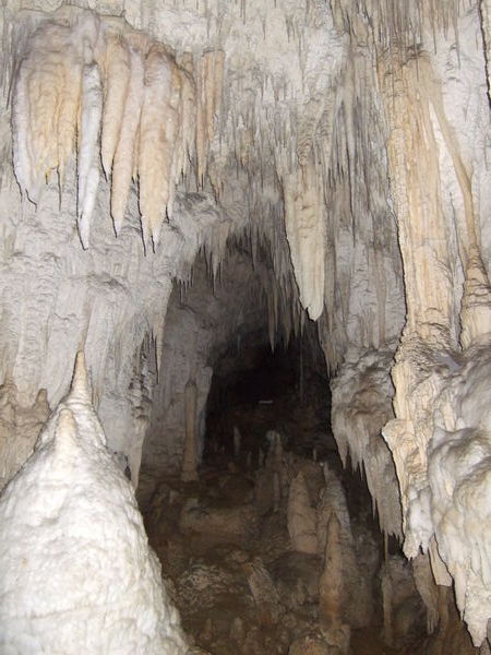 Inside The Aranui Cave