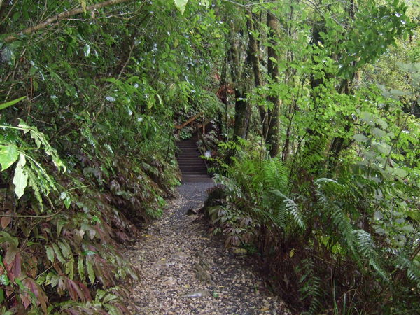 The Path Up To The Aranui Cave