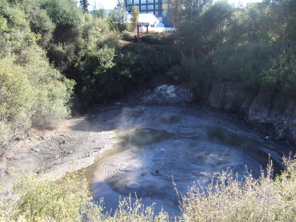 Te Werenga - Mud Pool