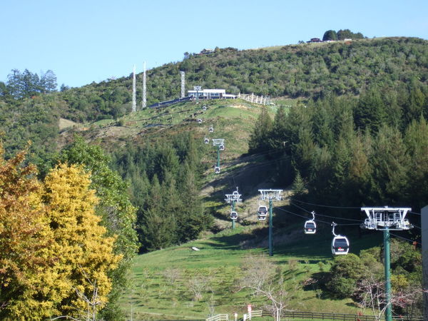 The Skyline Gondola