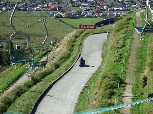 The Luge