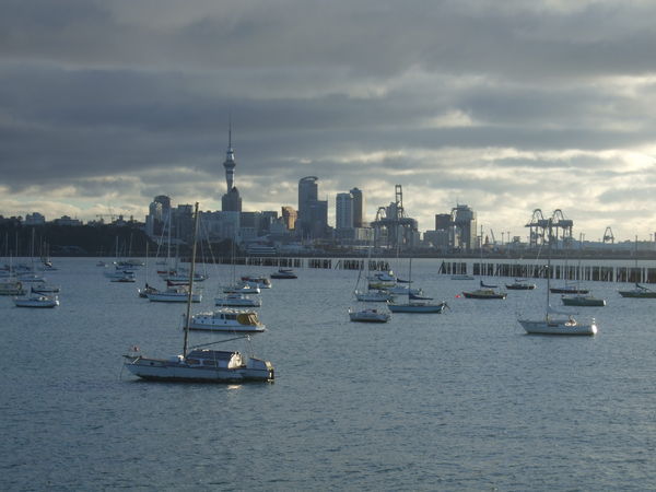 Auckland City From Waitemata Harbour