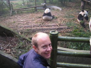 Ronan And Some More Pandas