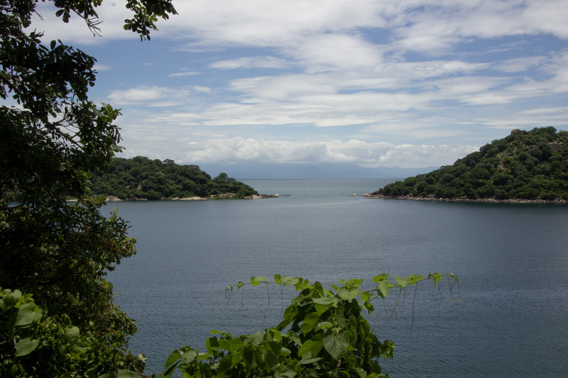 A view over Monkey Bay.