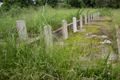 Commonwealth War Graves are not being kept very well