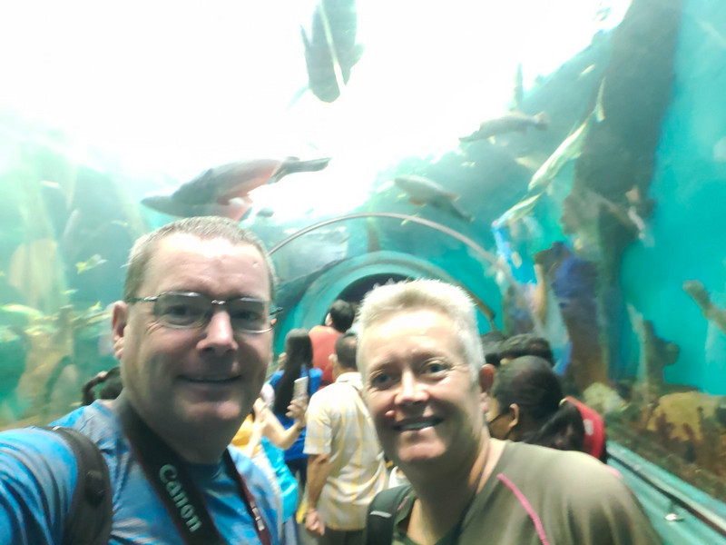 Selfie spot at the aquarium 