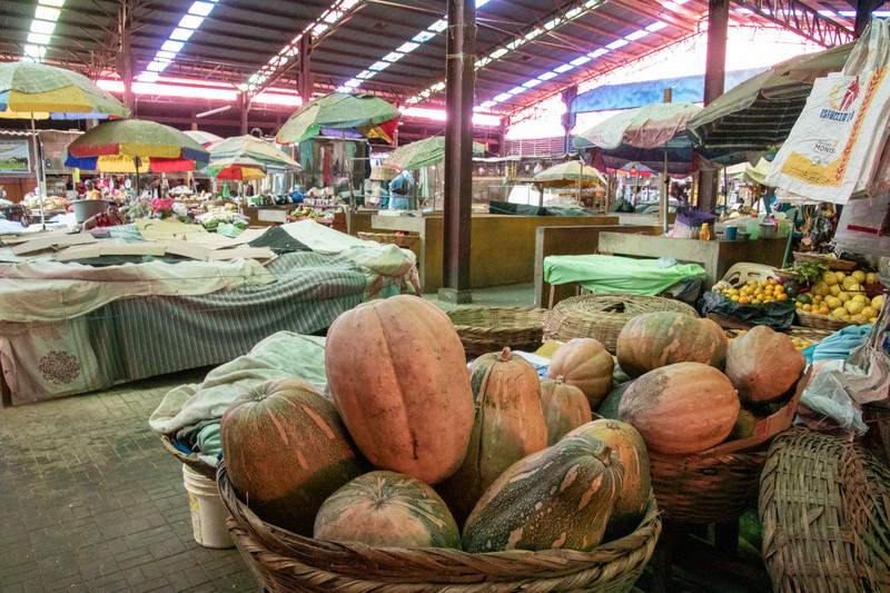 Massive butternut squashes on the market