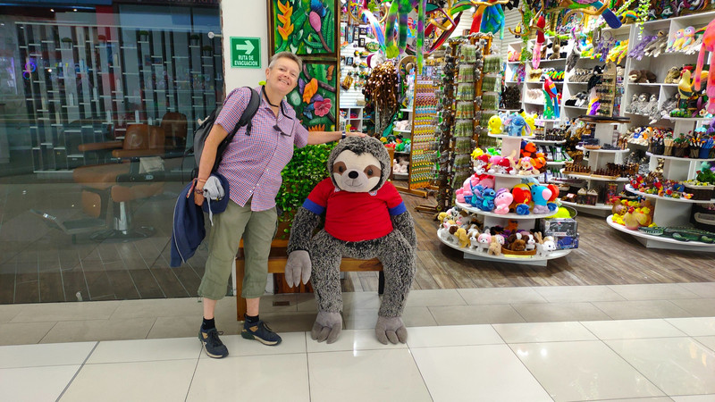 A sloth at the shopping mall in Alajuela