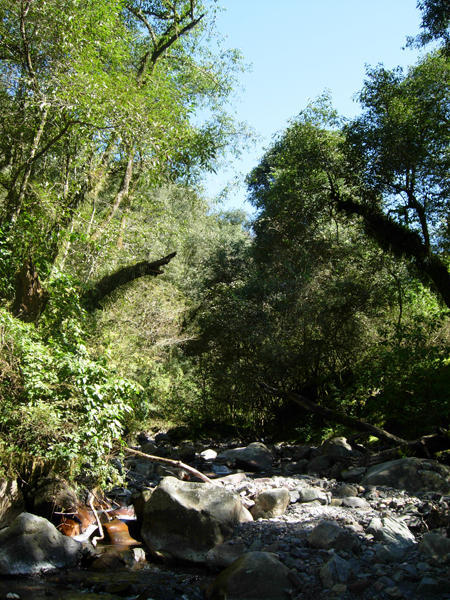 The Quebrada de San Lorenzo