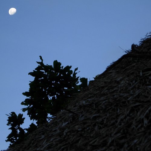 Moon rising over the cabaña