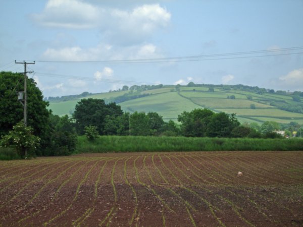 Rolling Green Hills of Devon