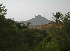 Citadel from the oasis