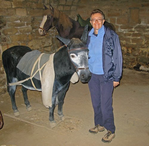 Trish with a donkey!