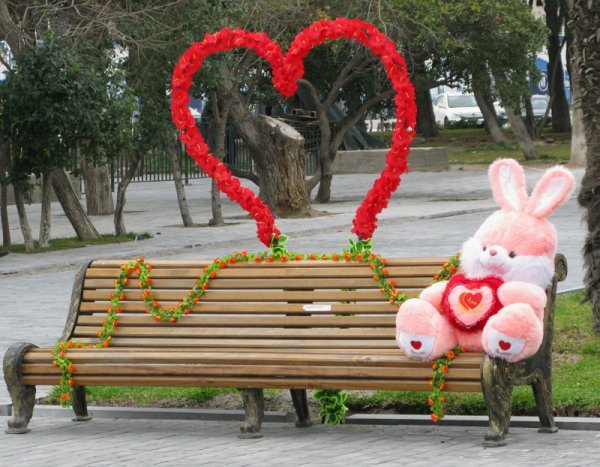 The Love Bench!
