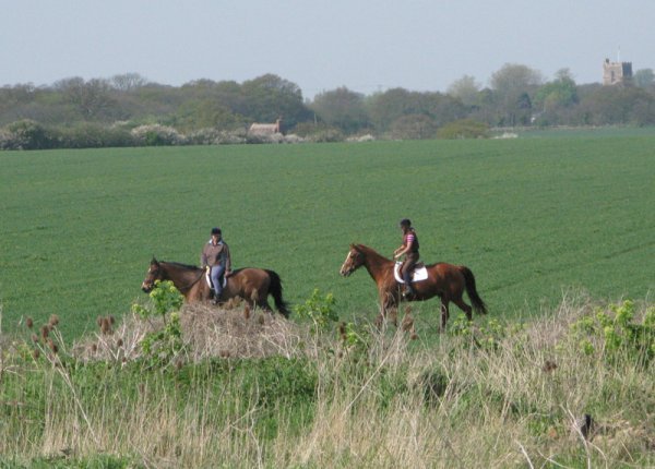 Horseriders in the countryside
