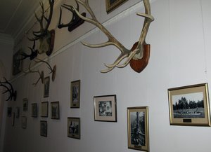 The Tsar's Hunting Trophies