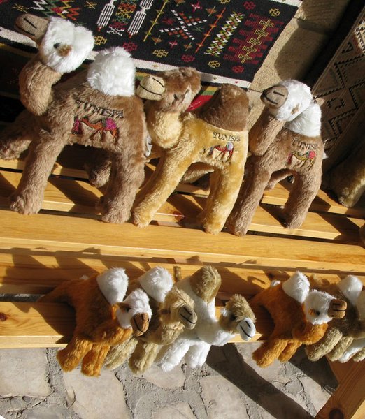 More cuddly camels