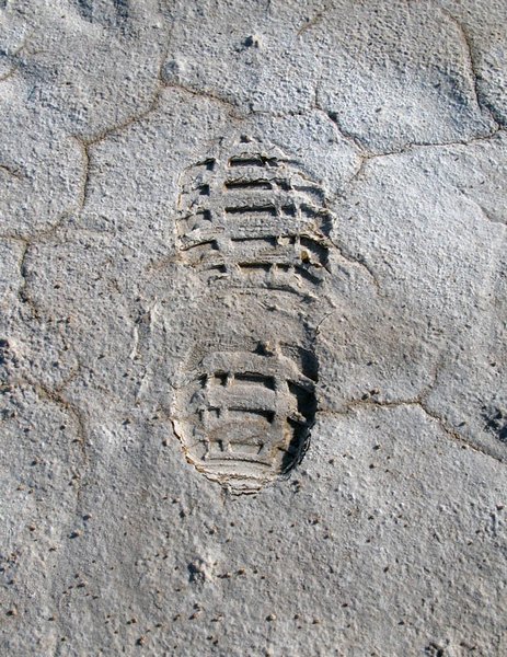 Salty Footprints