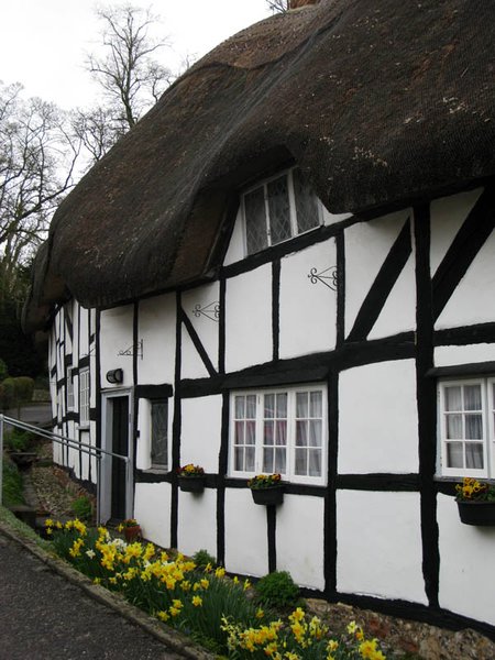 More thatched houses